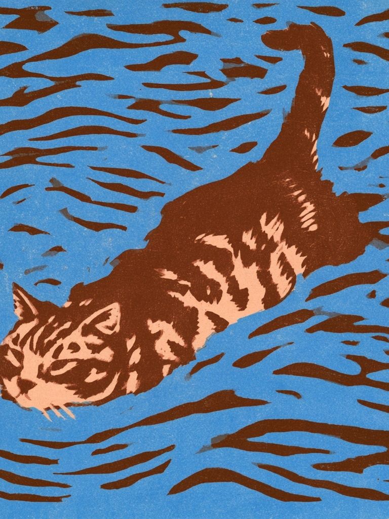 Swimming Cat Illustration Poster. poster detail