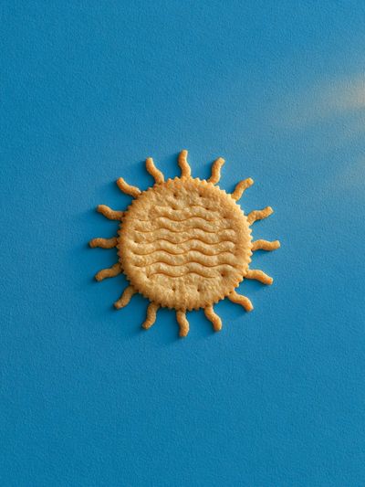 Sun Biscuit Illustration Poster. poster print