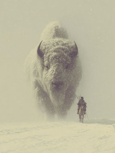 Snowy Buffalo Rider Fantasy Print. poster