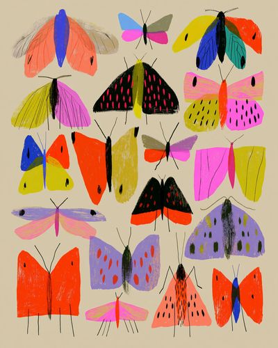 Colorful Butterflies Illustration Poster. poster