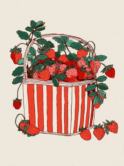 Strawberry Basket Illustration Poster.