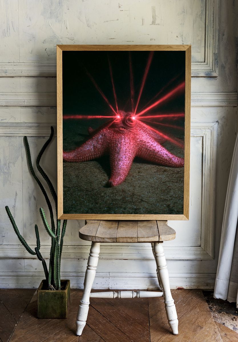 Laser-Eyed Starfish Photography Poster. — room view 1