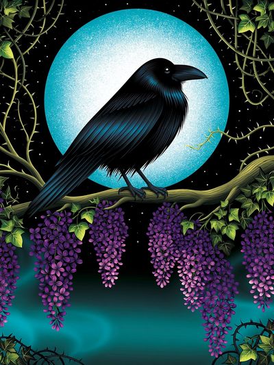 Moonlit Raven Botanical Print.