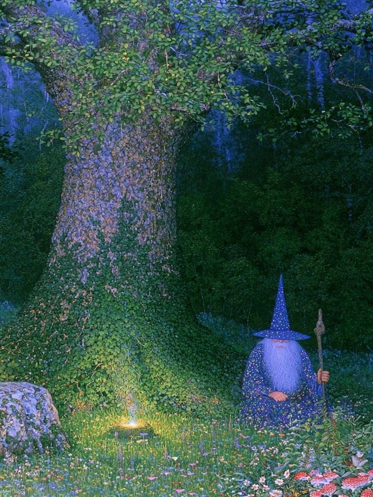 Enchanted Forest Wizard Print. poster — illustration art