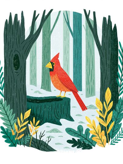 Cardinal Forest Illustration Poster. poster