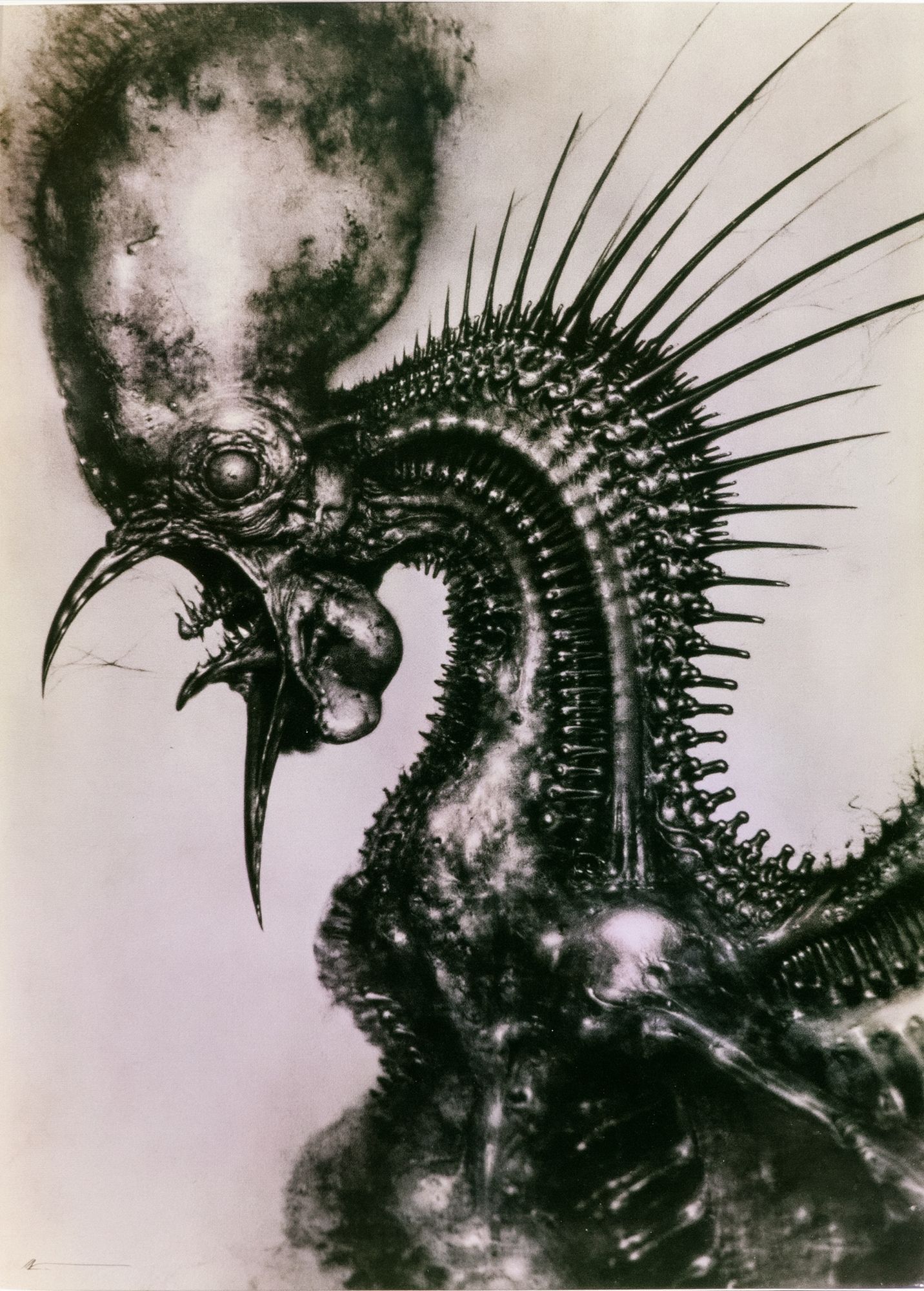 Surreal Spiked Bird Illustration Poster. poster detail