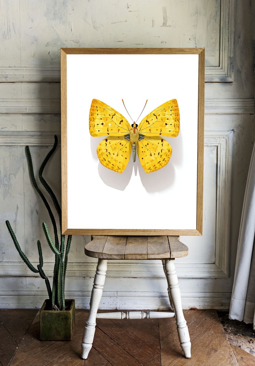 Yellow Butterfly — Illustration Print. — room view 1
