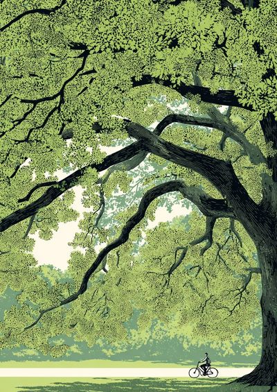 Bicyclist Under a Canopy — Illustration Print. poster