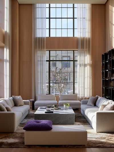 Modern Sunlit Living Room Photography Poster. poster