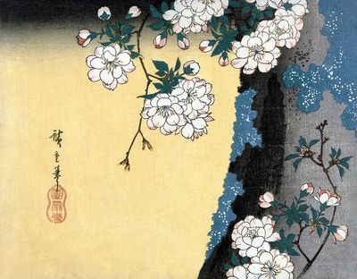 Cherry Blossom — Japanese Art Print. poster print