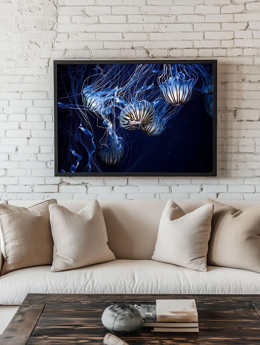Jellyfish swimming. room preview