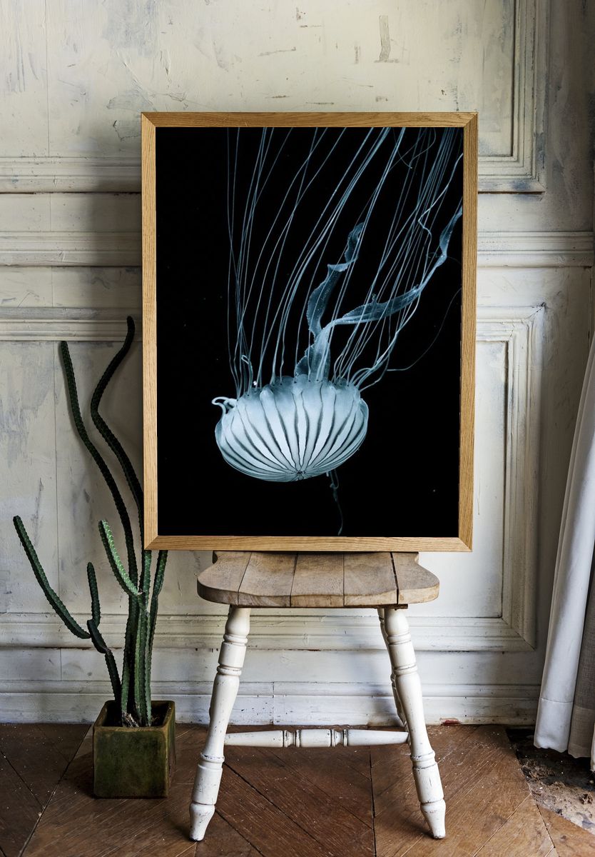 Jellyfish — Black and White Print. — room view 1