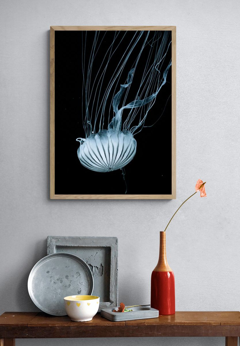 Jellyfish — Black and White Print. — room view 3