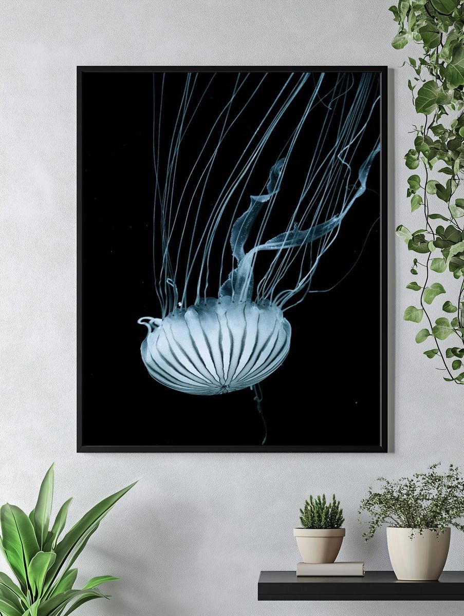 Jellyfish — Black and White Print. — room view 4