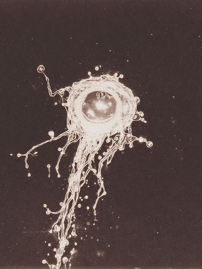 Abstract Jellyfish Illustration Poster. poster print