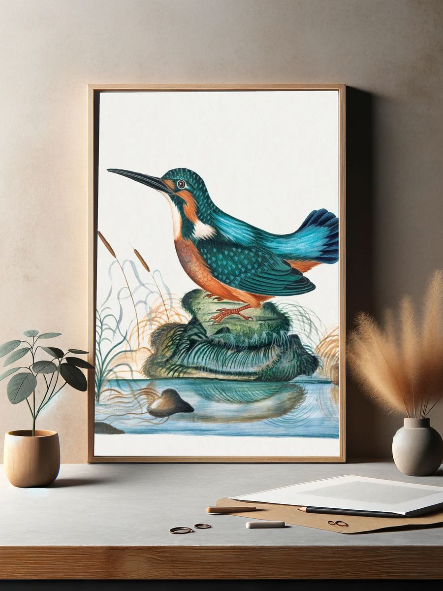 Common Kingfisher natural history cabinet. — room view 2