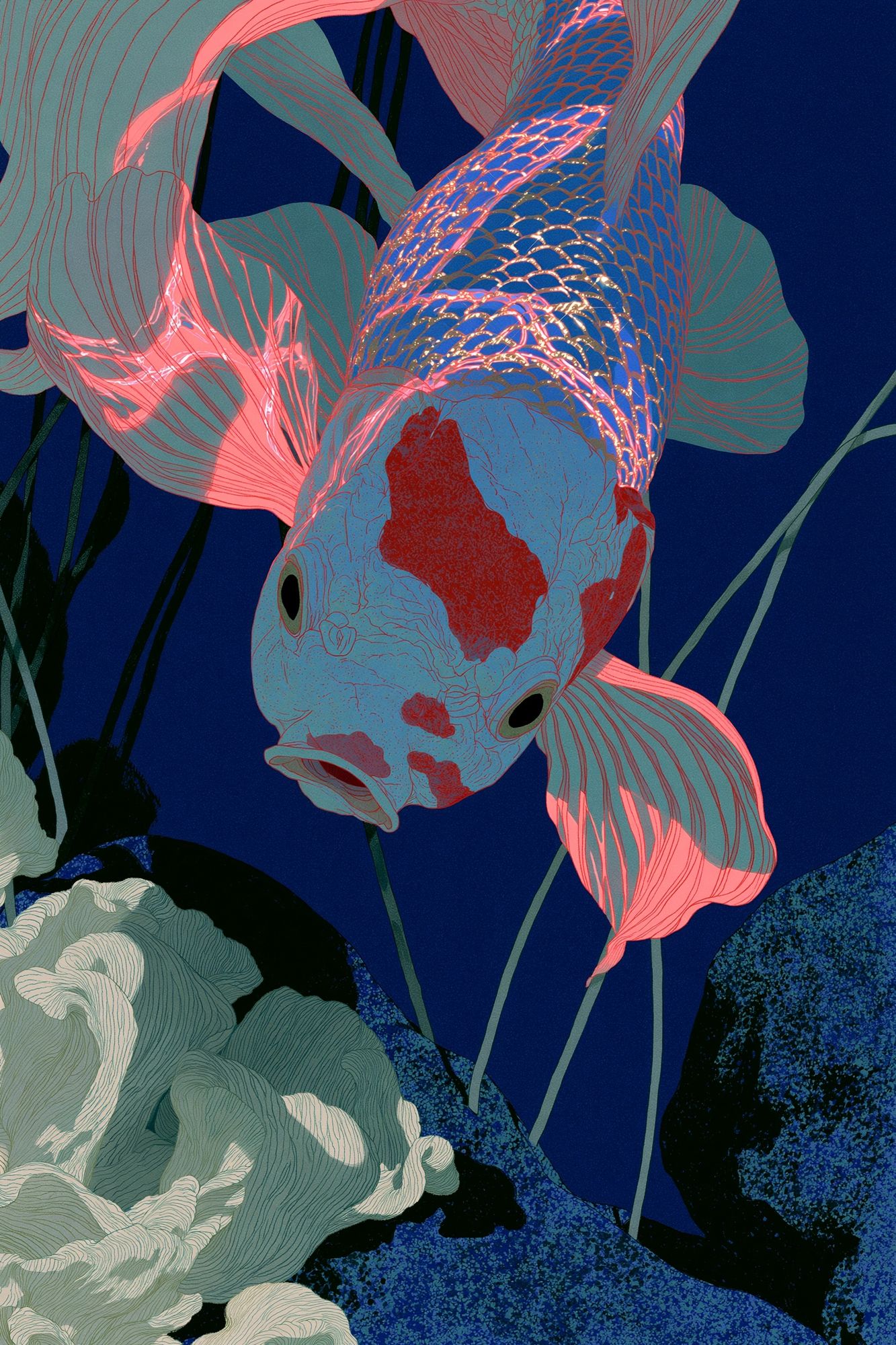 Koi Fish Digital Art Poster. poster — illustration art