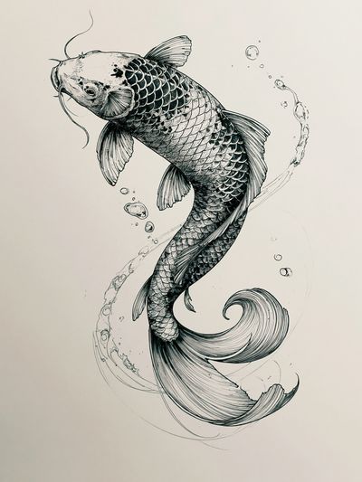 Koi Fish Ink Illustration Poster. poster