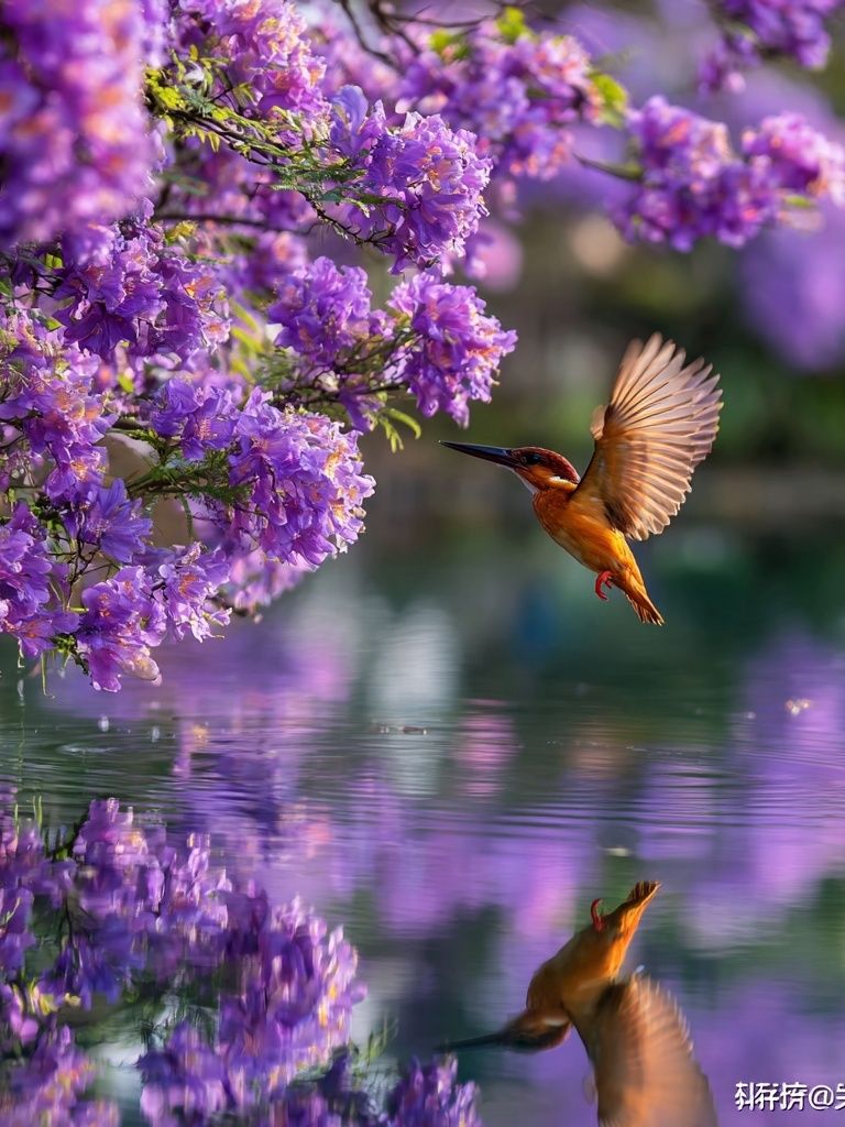 Kingfisher Among Purple Flowers Poster. poster — nature art