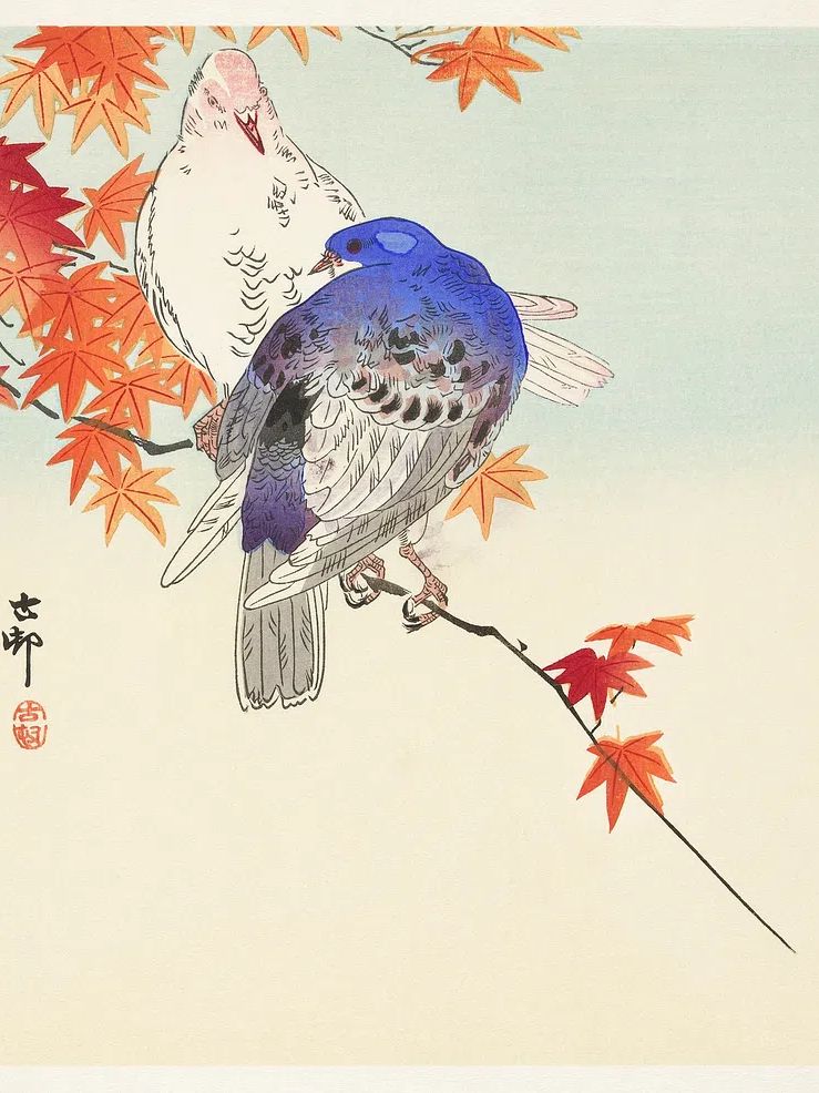 Two pigeons autumn branch. poster — fine-art art