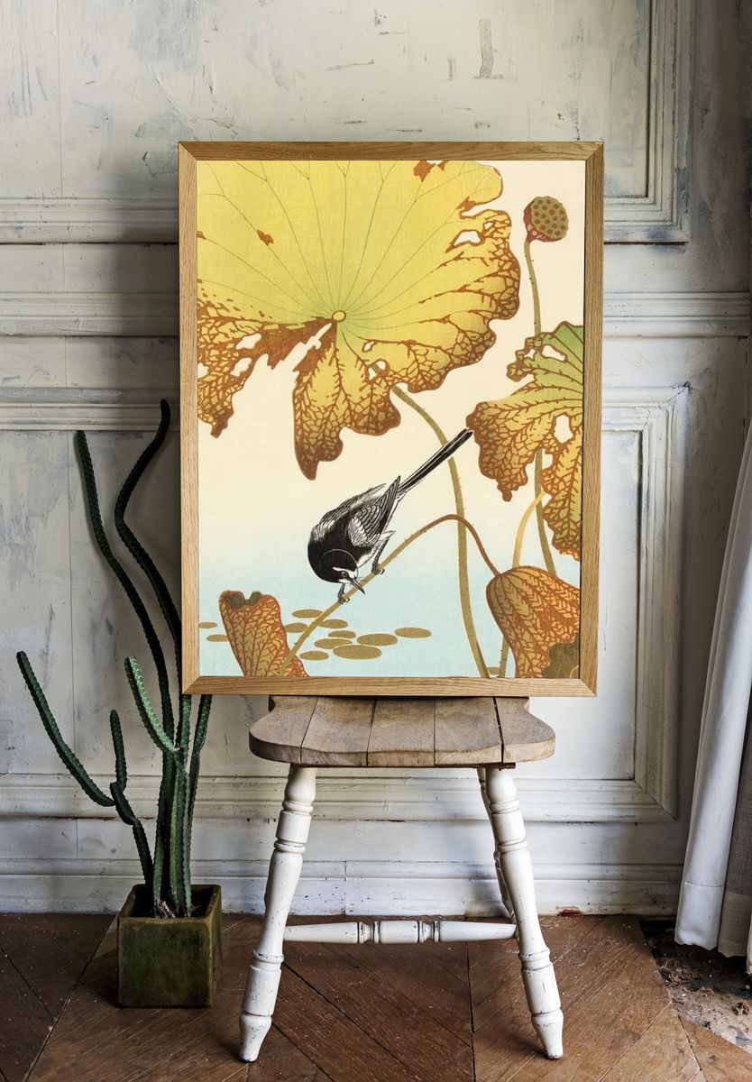 Japanese wagtail lotus plant. room preview