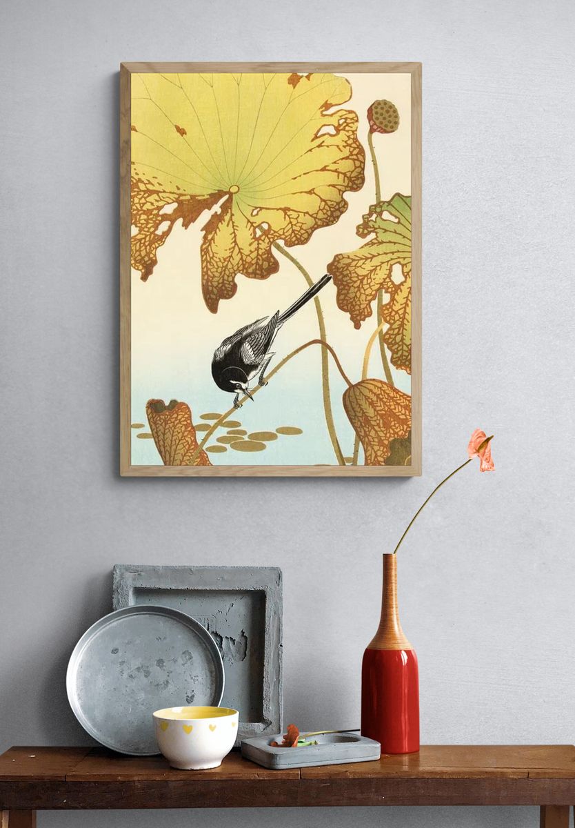 Japanese wagtail lotus plant. — room view 3