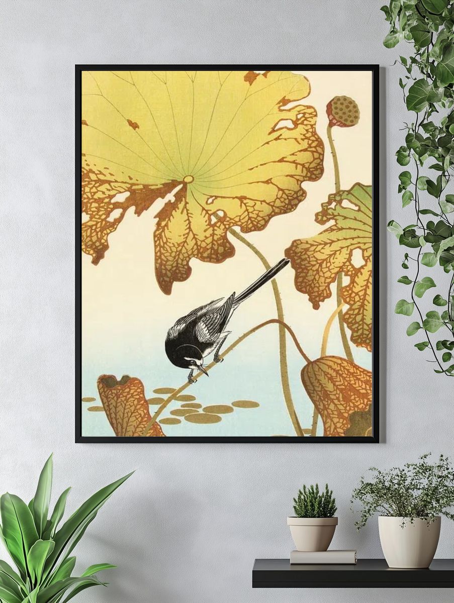 Japanese wagtail lotus plant. — room view 4