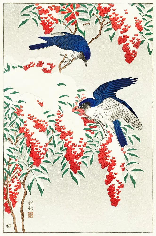 Flycatchers nandina bush. poster detail