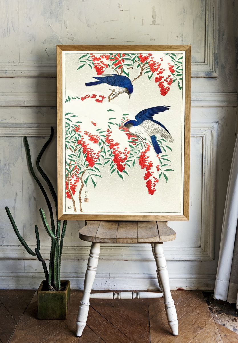 Flycatchers nandina bush. room preview