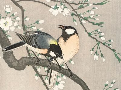 Tits Cherry Branch (1900–1910) Ohara. poster