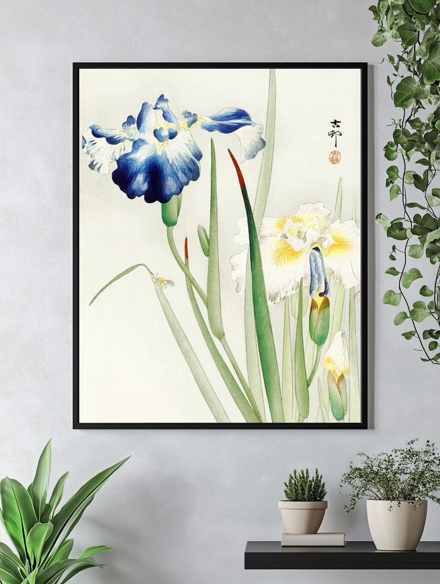Irises (1900 - 1936) Ohara. — room view 4