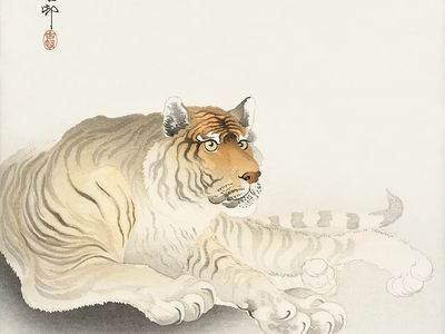 Tiger (1900 - 1930) Ohara.