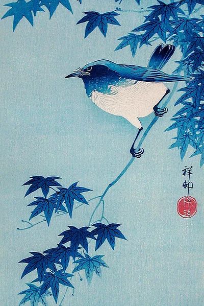 Robin Maple Branch (1935) Ohara.