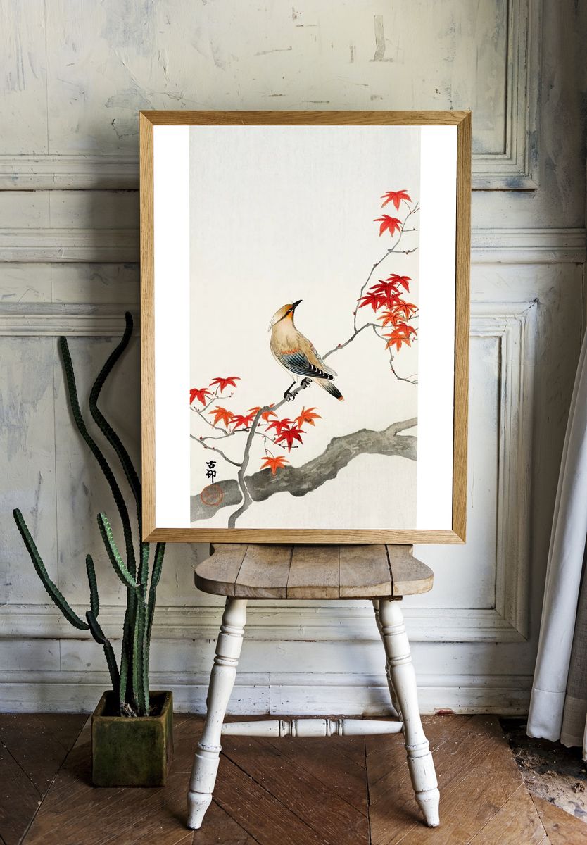 Japanese plague bird maple. room preview