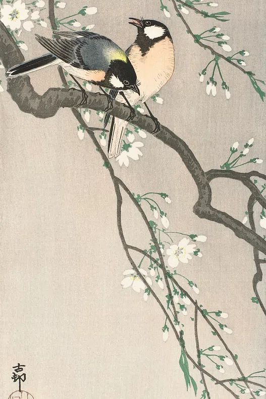 Tits Cherry Branch (1900–1910) Ohara. poster detail