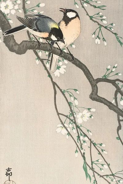 Tits Cherry Branch (1900–1910) Ohara.