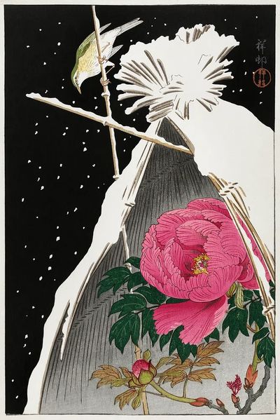 Siberian bluechat next peony. poster