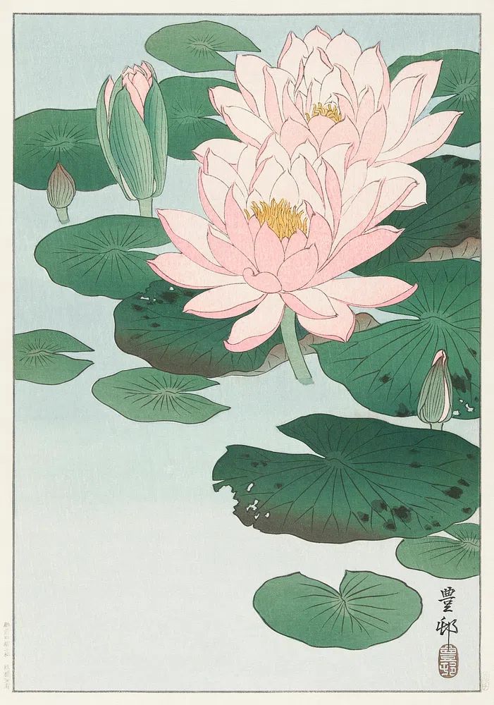 Water Lily (1920 - 1930). poster — fine-art art