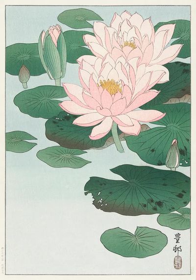 Water Lily (1920 - 1930).