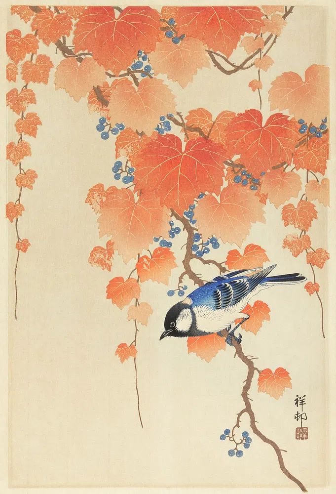 Great tit paulownia branch. poster — fine-art art