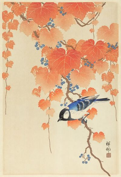 Great tit paulownia branch. poster