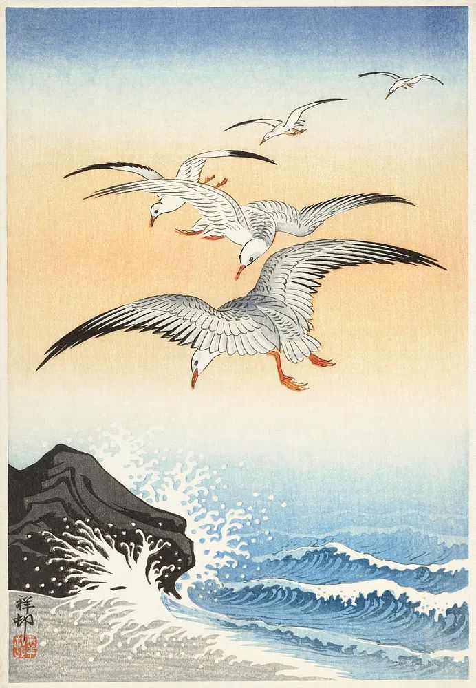 Five seagulls turbulent sea. poster detail