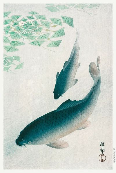 Carp Koi (1926) Ohara Koson.