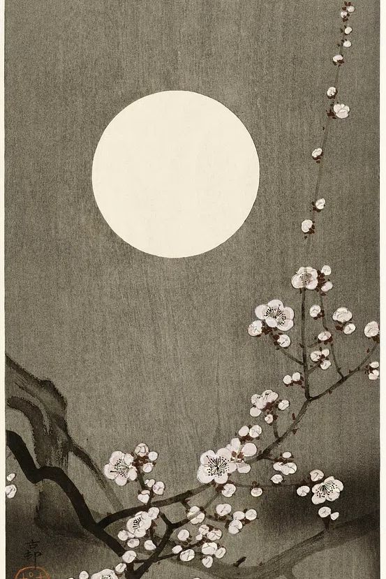 Blooming plum blossom full moon. poster — fine-art art