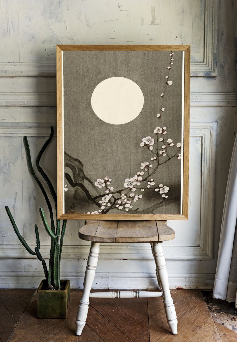 Blooming plum blossom full moon. room preview