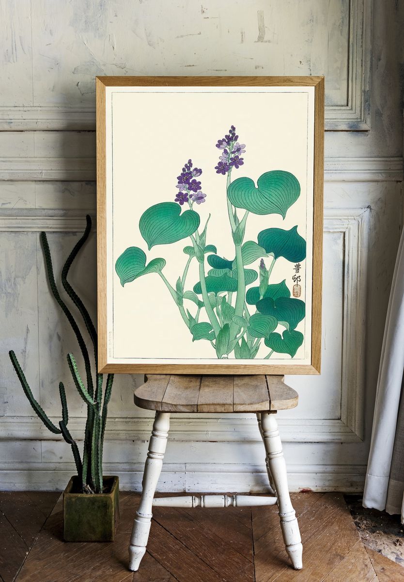 Blooming hosta (1920 - 1930). room preview