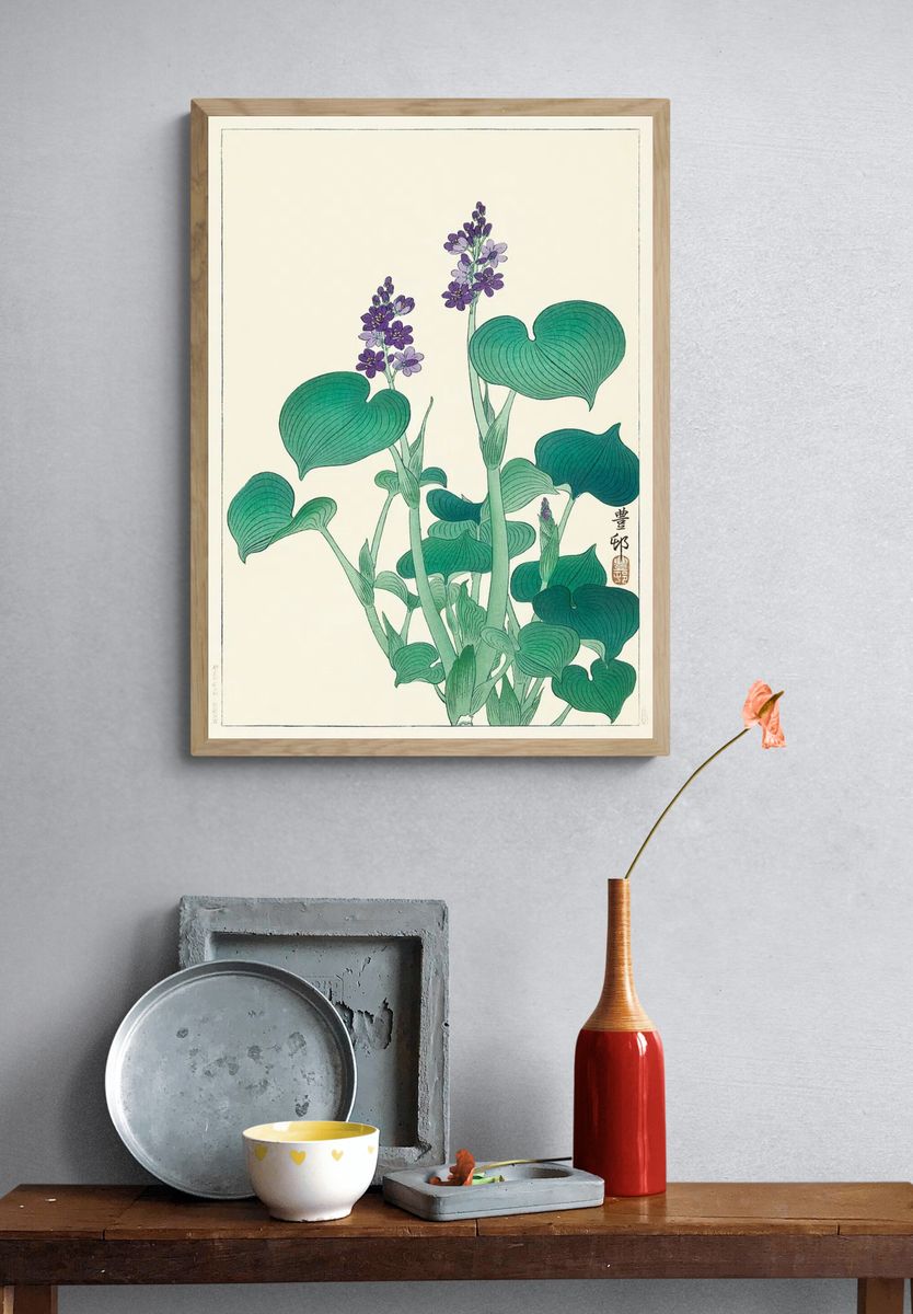 Blooming hosta (1920 - 1930). — room view 3