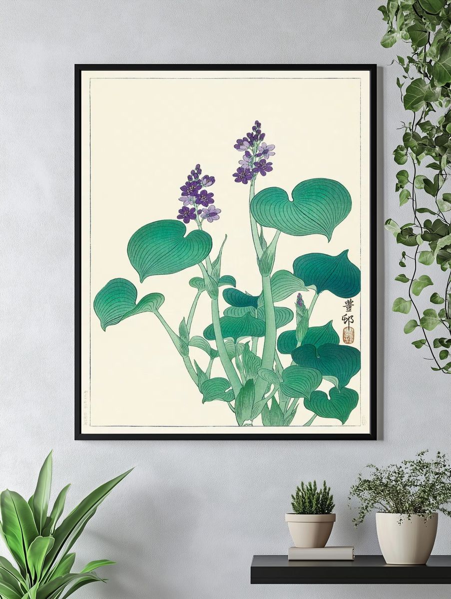 Blooming hosta (1920 - 1930). — room view 4