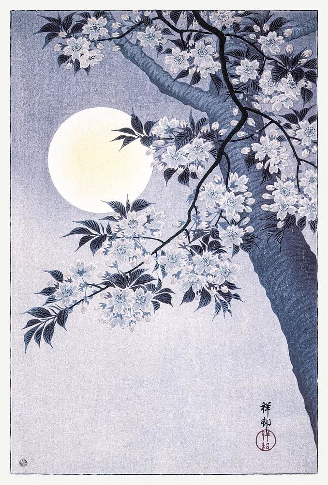 Blossoming Cherry Moonlit Night. poster detail