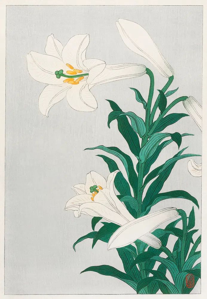 Lilies, Ohara. poster — fine-art art